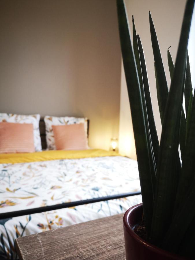 Apartament Le Petit Cocon De La Poste Gourdon Zewnętrze zdjęcie